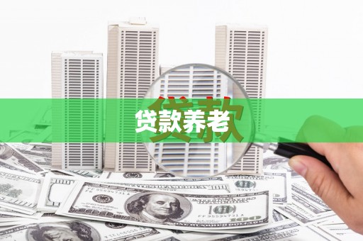 六枝贷款养老