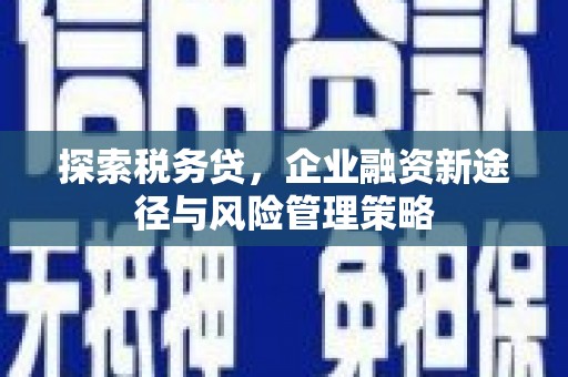 六枝探索税务贷，企业融资新途径与风险管理策略