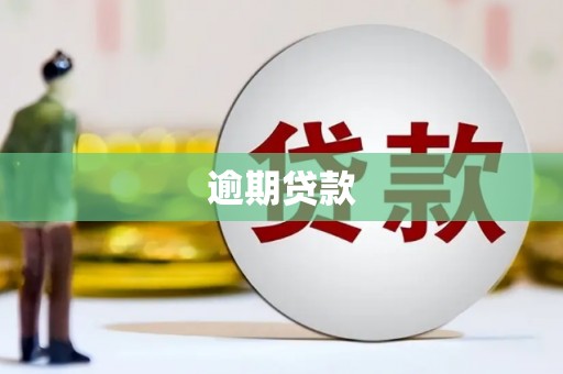 六枝逾期贷款