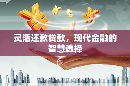 六枝灵活还款贷款，现代金融的智慧选择