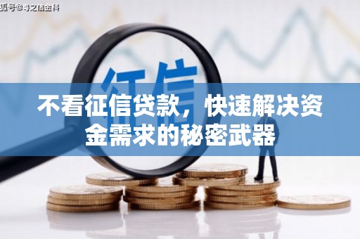 六枝不看征信贷款，快速解决资金需求的秘密武器