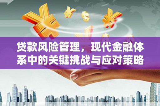 六枝贷款风险管理，现代金融体系中的关键挑战与应对策略