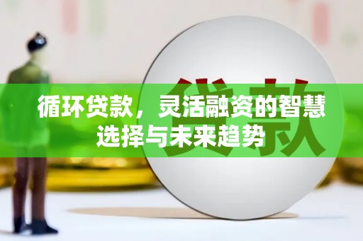 六枝循环贷款，灵活融资的智慧选择与未来趋势