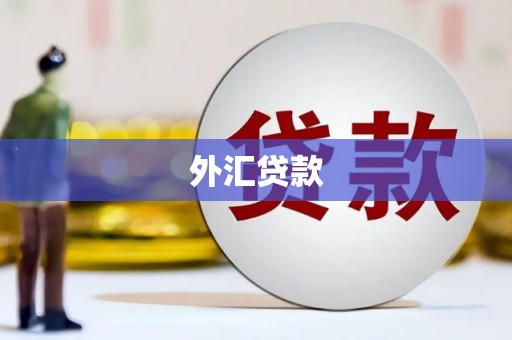 六枝外汇贷款