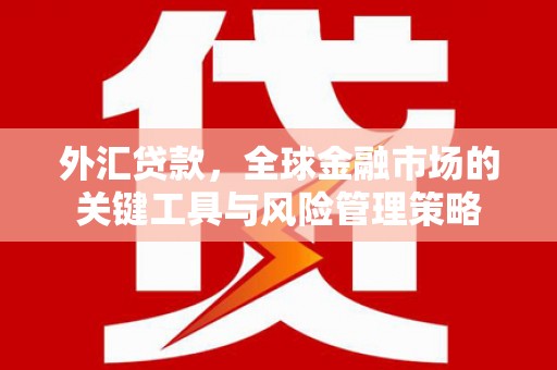 六枝外汇贷款，全球金融市场的关键工具与风险管理策略