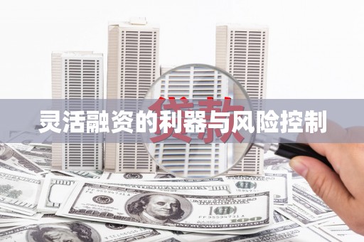 六枝灵活融资的利器与风险控制