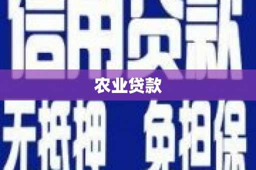 六枝农业贷款