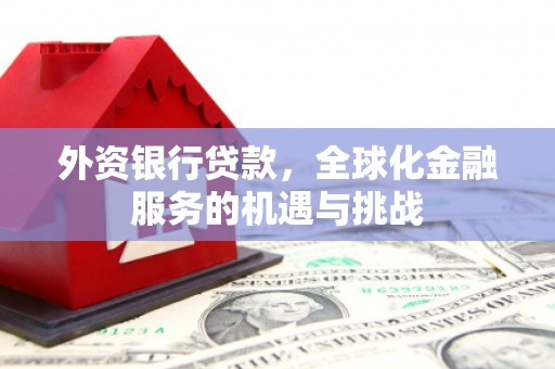 六枝外资银行贷款，全球化金融服务的机遇与挑战