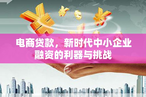 六枝电商贷款，新时代中小企业融资的利器与挑战