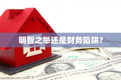 六枝明智之举还是财务陷阱？