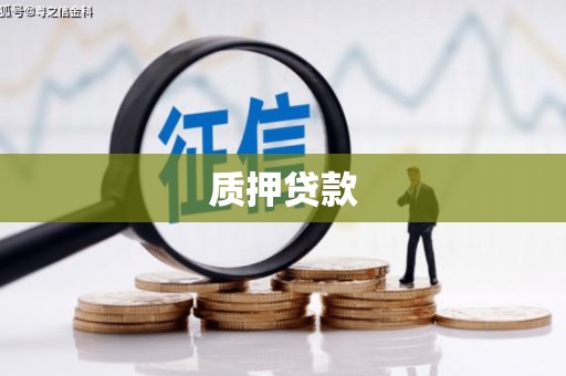 六枝质押贷款