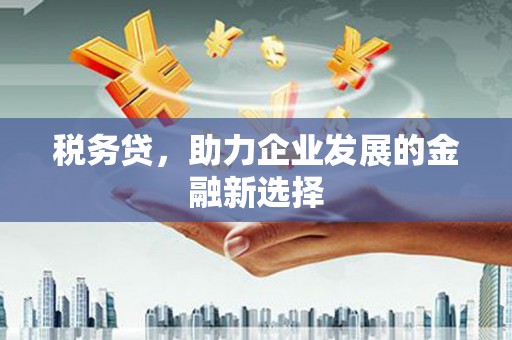 六枝税务贷，助力企业发展的金融新选择