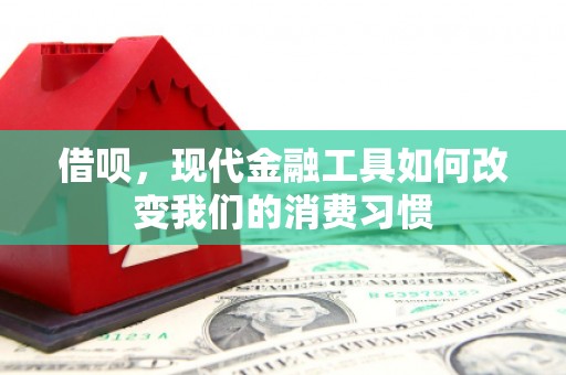六枝借呗，现代金融工具如何改变我们的消费习惯
