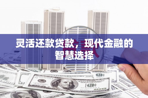 六枝灵活还款贷款，现代金融的智慧选择