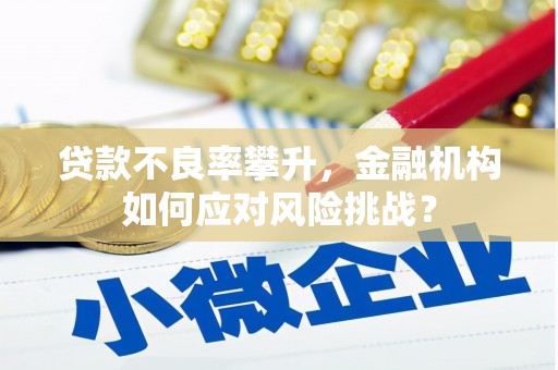 六枝贷款不良率攀升，金融机构如何应对风险挑战？