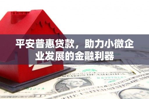 六枝平安普惠贷款，助力小微企业发展的金融利器