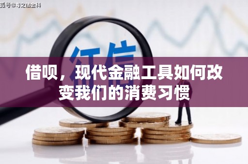 六枝借呗，现代金融工具如何改变我们的消费习惯