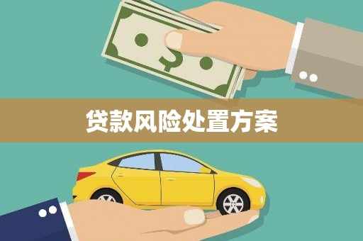 六枝贷款风险处置方案