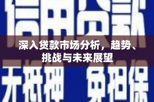 六枝深入贷款市场分析，趋势、挑战与未来展望