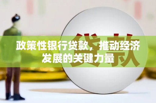 六枝政策性银行贷款，推动经济发展的关键力量