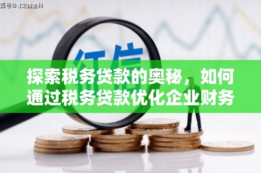 六枝探索税务贷款的奥秘，如何通过税务贷款优化企业财务