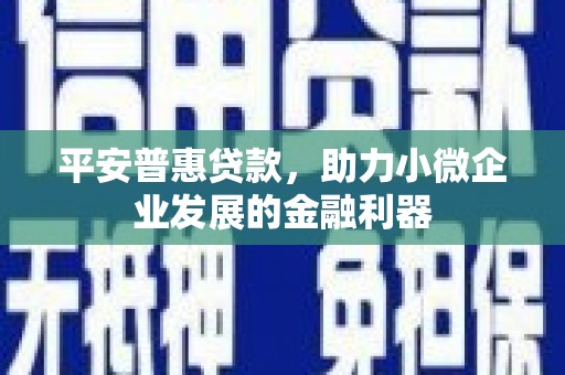 六枝平安普惠贷款，助力小微企业发展的金融利器