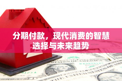 六枝分期付款，现代消费的智慧选择与未来趋势
