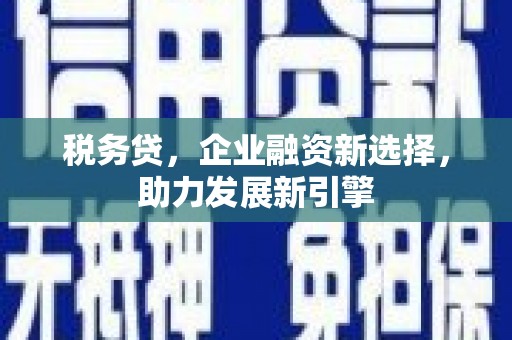 六枝税务贷，企业融资新选择，助力发展新引擎