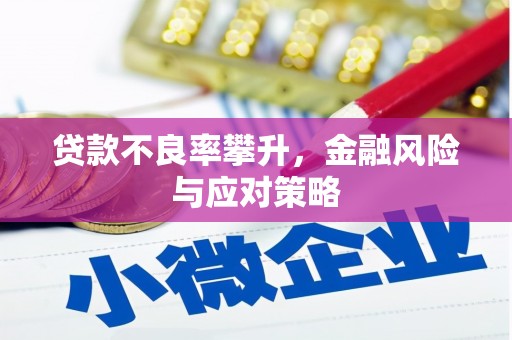 六枝贷款不良率攀升，金融风险与应对策略
