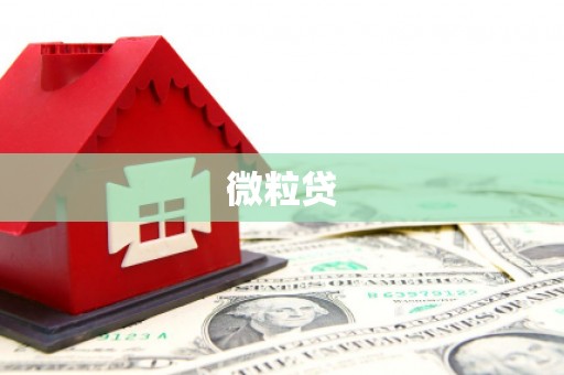 六枝微粒贷