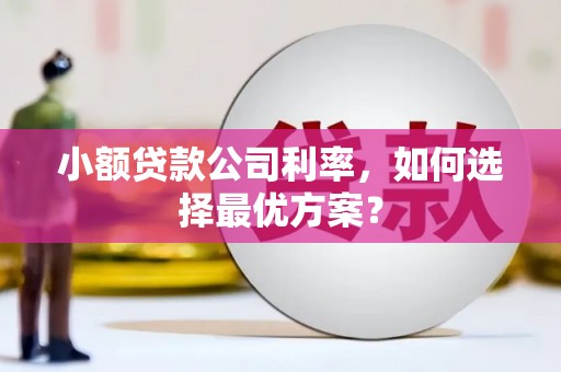 六枝小额贷款公司利率，如何选择最优方案？