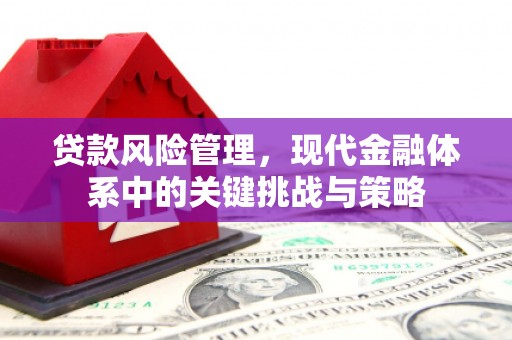 六枝贷款风险管理，现代金融体系中的关键挑战与策略