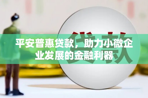 六枝平安普惠贷款，助力小微企业发展的金融利器