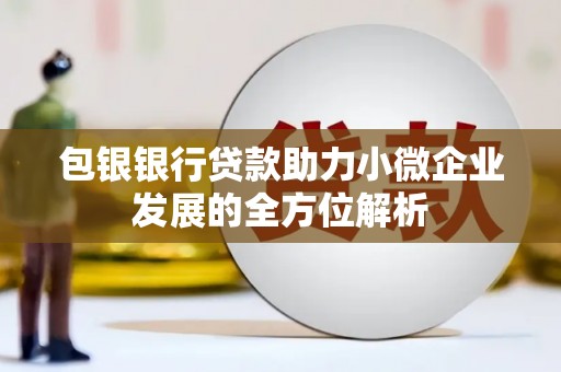 六枝包银银行贷款助力小微企业发展的全方位解析