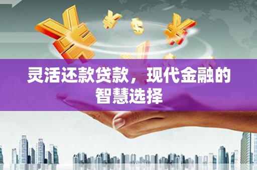 六枝灵活还款贷款，现代金融的智慧选择