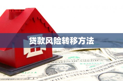 六枝贷款风险转移方法