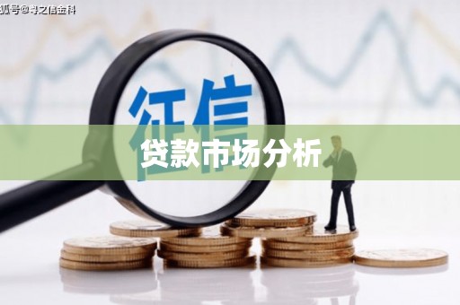 六枝贷款市场分析