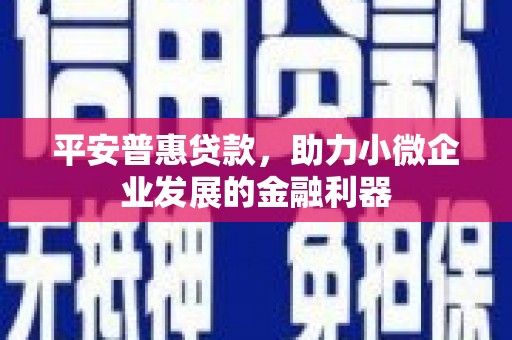 六枝平安普惠贷款，助力小微企业发展的金融利器
