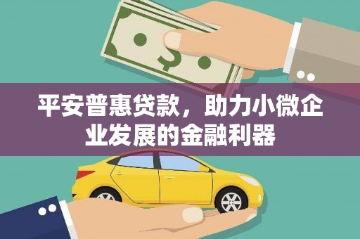 六枝平安普惠贷款，助力小微企业发展的金融利器