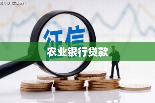 六枝农业银行贷款