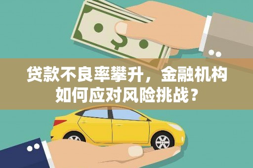 六枝贷款不良率攀升，金融机构如何应对风险挑战？
