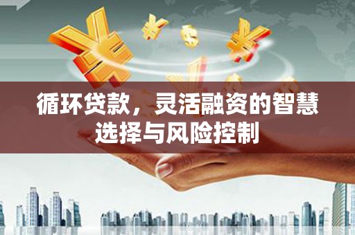 六枝循环贷款，灵活融资的智慧选择与风险控制