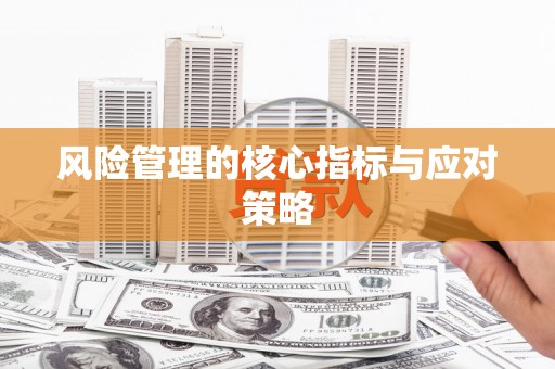 六枝风险管理的核心指标与应对策略