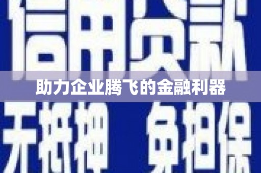 六枝助力企业腾飞的金融利器