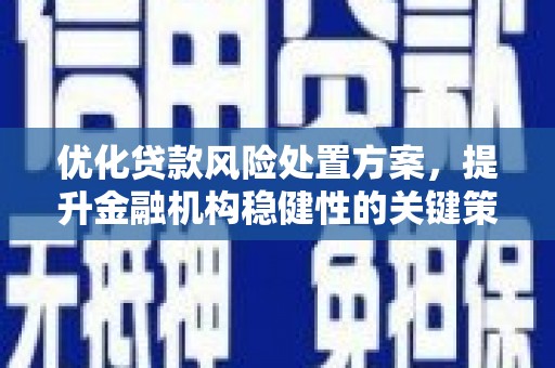 六枝优化贷款风险处置方案，提升金融机构稳健性的关键策略