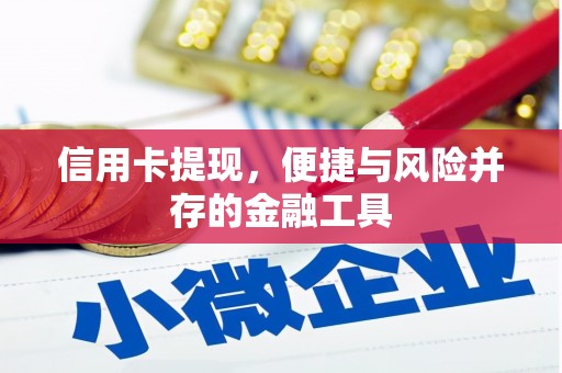 六枝信用卡提现，便捷与风险并存的金融工具