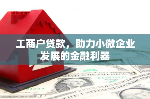 六枝工商户贷款，助力小微企业发展的金融利器