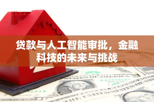 六枝贷款与人工智能审批，金融科技的未来与挑战