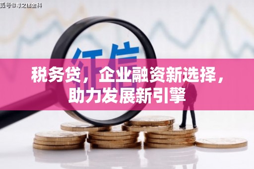 六枝税务贷，企业融资新选择，助力发展新引擎