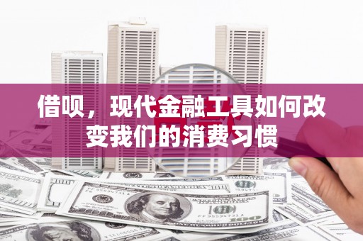 六枝借呗，现代金融工具如何改变我们的消费习惯